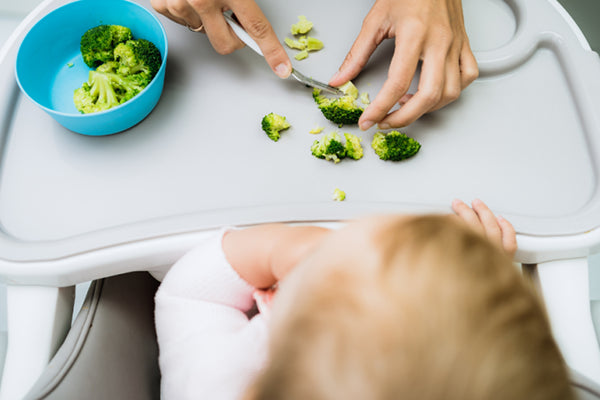 The ABCs of Baby Led Weaning